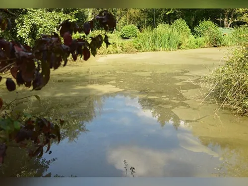 Les mares d'Orgeval auront bientôt un nouveau visage