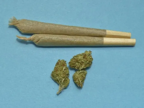 Des centaines de kilos de cannabis confisqués en novembre dans les...