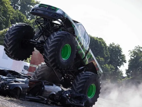 Des « monstres » indésirables à Fontainebleau