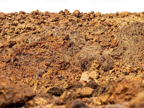 Le délibéré attendu dans l’affaire de la « Dune du Pilat » à...