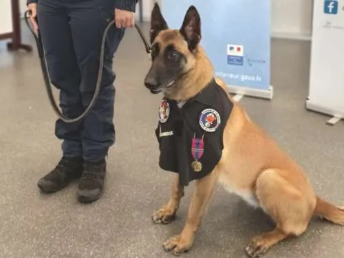 Les gendarmes de Seine-et-Marne comptent une nouvelle retraitée