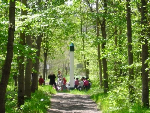 Les Nuits des forêts reviennent dans les Hauts-de-France