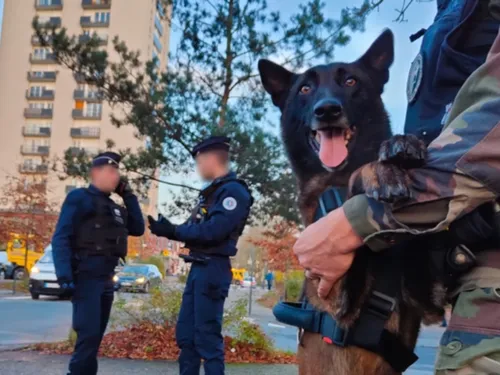 Importante opération de police cette semaine sur le plateau de Creil