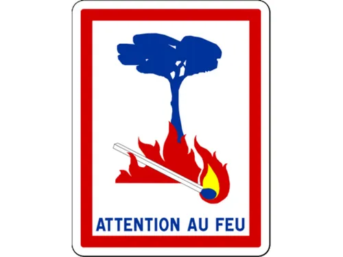 Ces gestes simples peuvent permettre d'éviter les feux de forêt en...