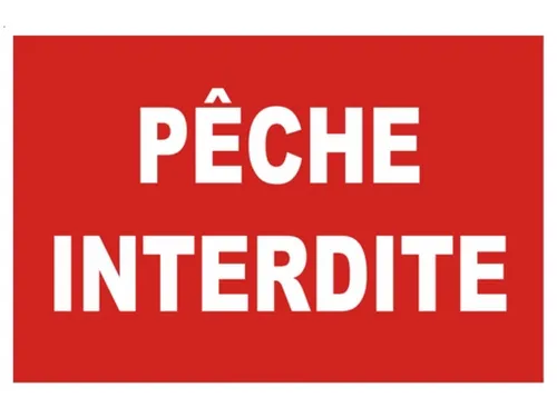 De la pollution repérée dans un étang de Chanteloup-en-Brie