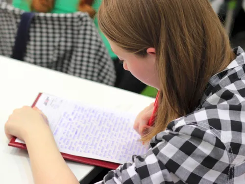 Flins-sur-Seine recherche des étudiants pour la bonne cause 