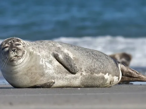 Un mois d'août extra pour le tourisme dans les Hauts-de-France