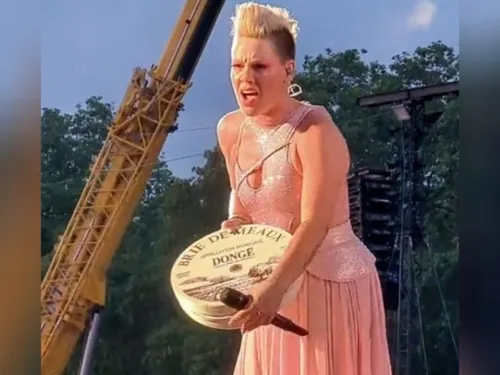 Insolite : Pink sur scène avec un Brie de Meaux dans les bras