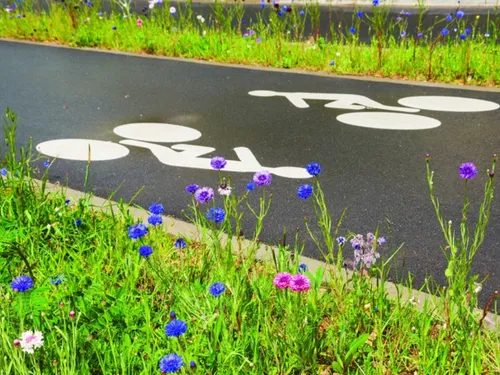 Les pistes cyclables de l'Aire cantilienne font peau neuve 