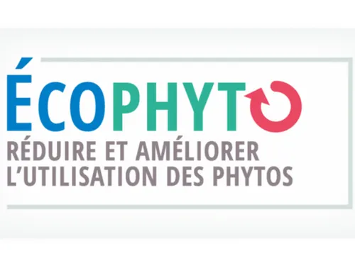 Marche arrière sur le plan Ecophyto : plusieurs ONG abandonnent
