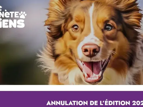 La deuxième édition de « Planète Chien » annulée à Fontainebleau