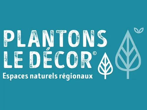 Et si vous plantiez local en Baie de Somme ?