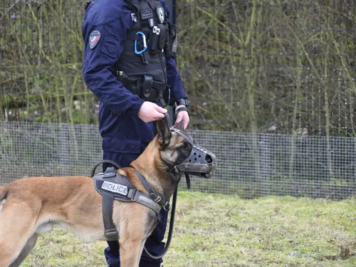 Un jeune homme disparu dans le secteur de Melun retrouvé sain et sauf
