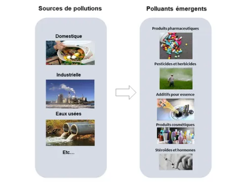 Les polluants émergents constituent un « défi croissant » pour la...