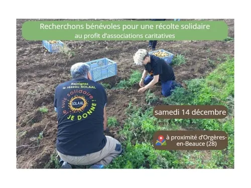 Des tonnes de pommes de terre distribuées en Eure-et-Loir