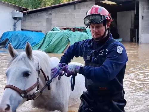 Les pompiers de Seine-et-Marne dévoilent leurs impressionnantes...