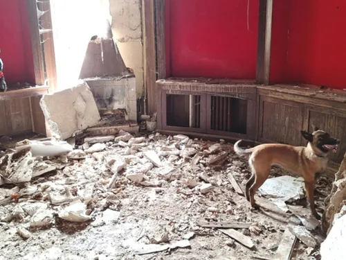 Les pompiers seine-et-marnais prêts à retrouver des personnes...