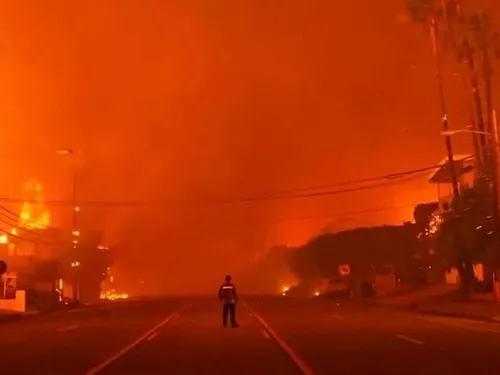 Feux de forêt : la France face à une situation hors norme