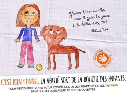 Des « portes ouvertes adoption » approchent dans les refuges...