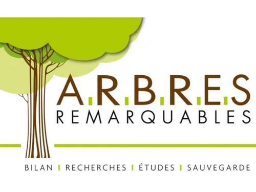 Plusieurs arbres sortent de l'ordinaire dans les Yvelines