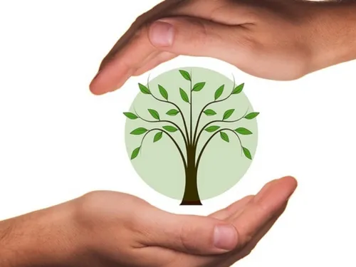 La responsabilité sociétale des entreprises, un possible atout de...