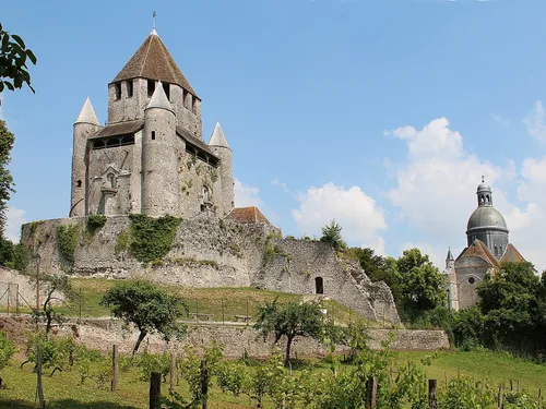 Provins, théâtre d'un docu-fiction 