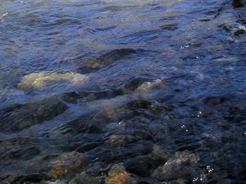 Une voiture finit dans l'Ancre à Albert