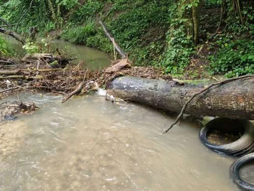 L'entretien du Grand Morin, un chantier colossal