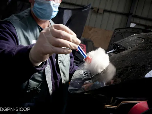 Un Essonnien retrouvé mort dans le coffre d'une voiture à...