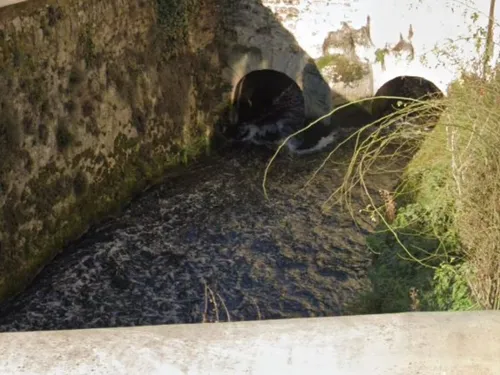 Un cours d'eau pourrait être fortement pollué dans les Yvelines