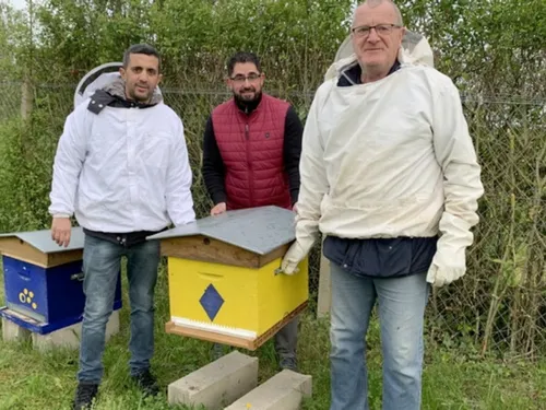 Les abeilles sont chouchoutées à Dreux 