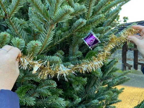 Un sapin pas comme les autres à Beynes 