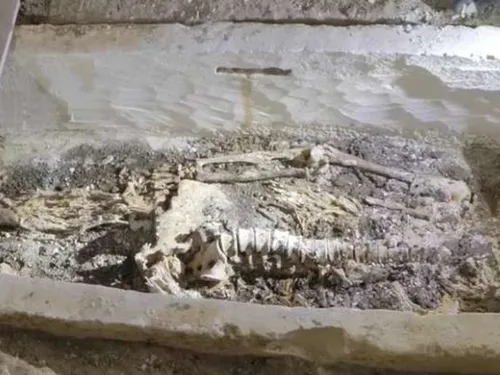 Un sarcophage du VIème siècle ouvert à Chartres