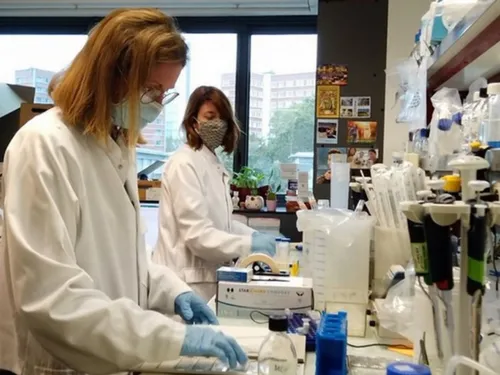 Les Hauts-de-France veulent booster la recherche scientifique