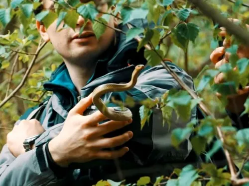 Pour la première fois, Chauconin-Neufmontiers réalise un atlas de...