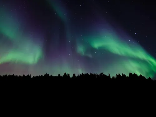 Des aurores boréales bientôt visibles... dans les Hauts de France !