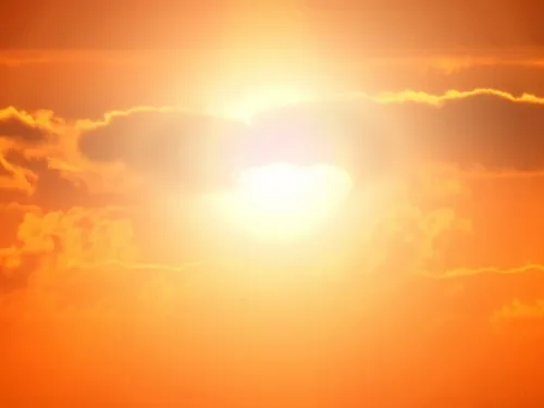 Les fortes chaleurs ont provoqué une surmortalité en Eure-et-Loir