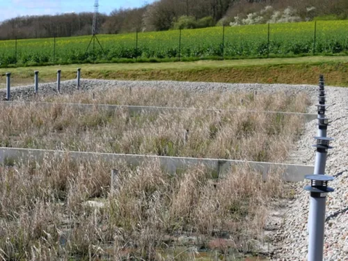 Les roseaux, composant étonnant de la nouvelle station d'épuration...