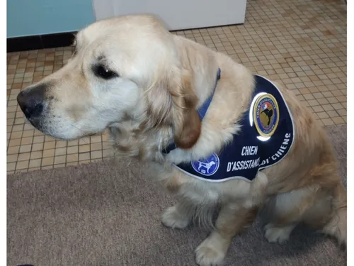 Un chien eurélien en soutien aux victimes de Joël Le Scouarnec
