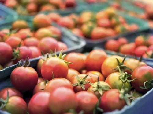 L'État veut muscler l'agriculture bio en Île-de-France