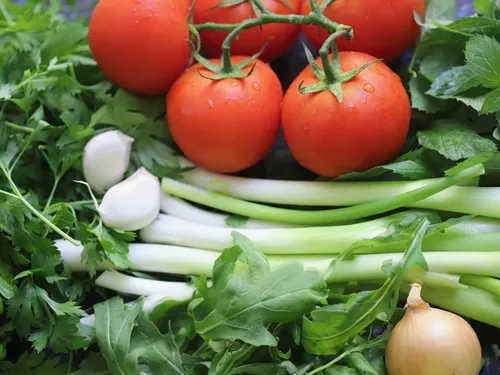 Un projet agronomique relancé sur le domaine de Thirveval-Grignon