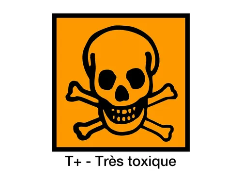 À Chatou, une déchetterie non autorisée indigne