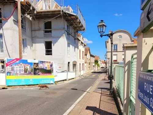 Des travaux barrent une route à Montesson 