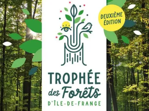 Les initiatives mises en valeur grâce au Trophée des forêts...