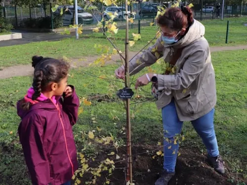 L'opération « Une naissance, un arbre » se poursuit à...