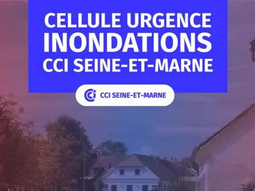 Les commerçants seine-et-marnais sinistrés par les inondations...