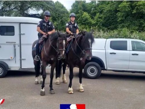 À cheval, les policiers seine-et-marnais ont tout de même besoin de...