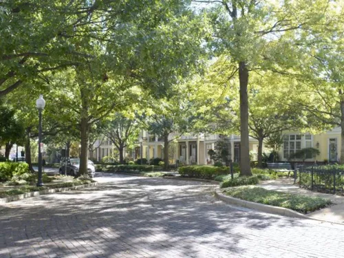 L'impact de la végétation en ville doit être bien géré dans les...