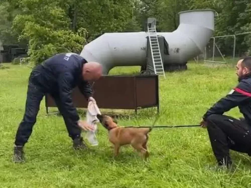 Viana et Veïko, deux nouvelles recrues du SDIS 77