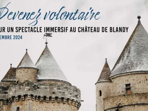 Le spectacle d'un château seine-et-marnais a besoin de 200...